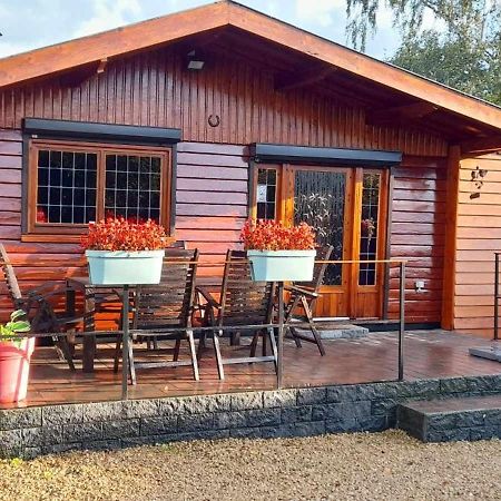 Chalet Nutons Somme-Leuze Ngoại thất bức ảnh